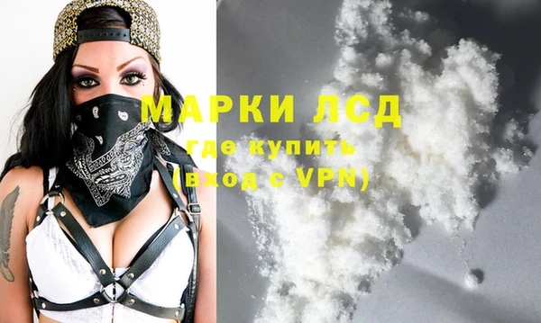 гашик Аркадак