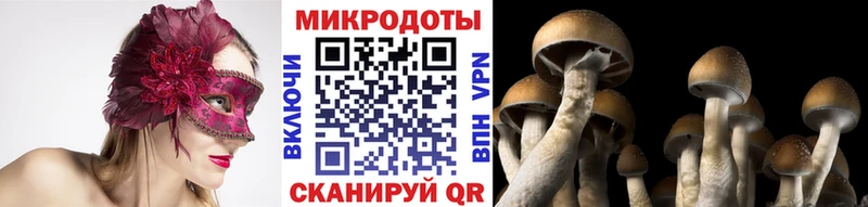 Псилоцибиновые грибы Psilocybe omg ONION Безенчук наркошоп